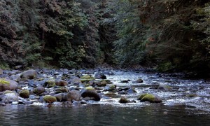 Salmon River, Mt. Hood National Forest