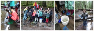 Mt Tabor Collage 3