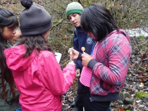 w_eaglecr_161104_waltmoreyyec_cr_stasiahonhold