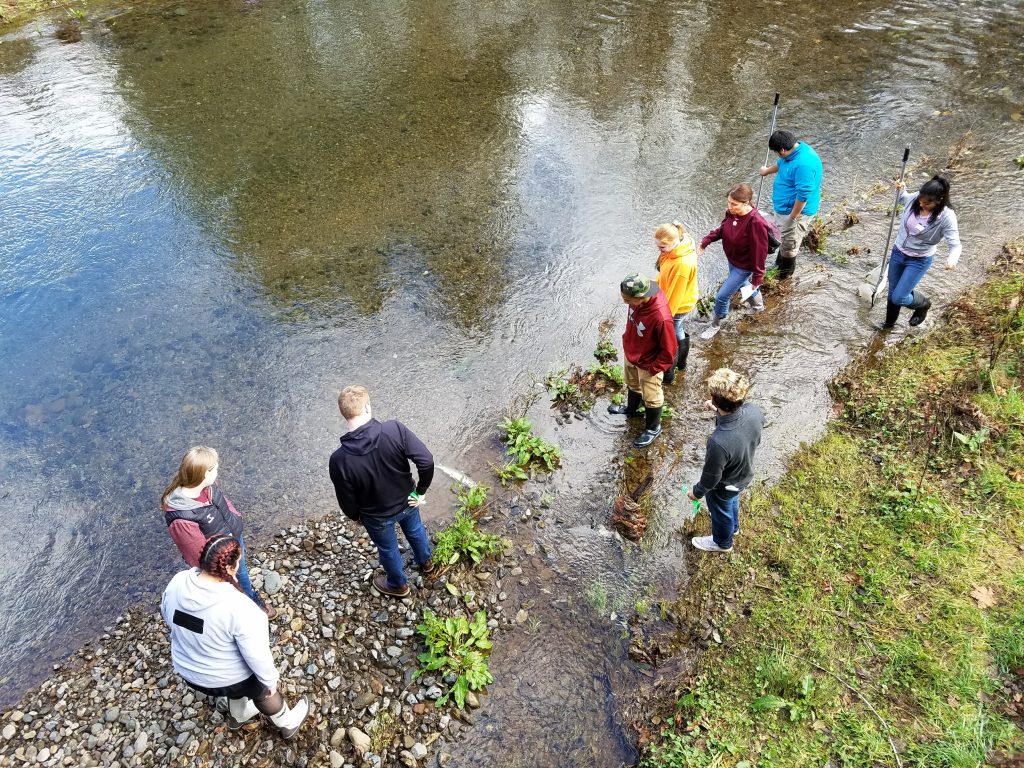 Salmon Watch Field Trips Season Wrapup World Salmon Council