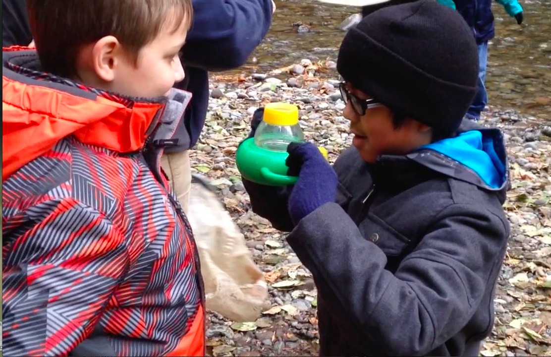 Salmon Watch All-Stars: Youth Ecology Corps